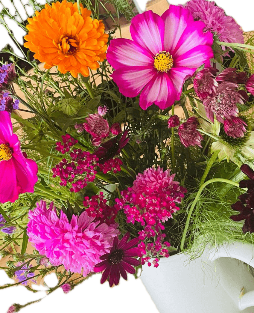 Cutting Flowers Seeds to Sow Grow a Cut Flower Garden