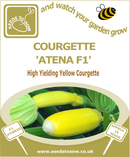 Courgette Atena F1