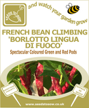 French Bean Climbing 'Borlotto Lingua di Fuoco'