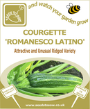 Courgette Romanesco Latino