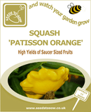 Squash Patisson Orange seeds