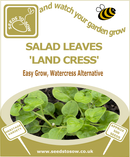 Land Cress Seeds