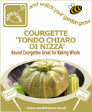 Courgette Tondo Chiaro Di Nizza