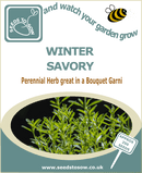 Winter Savory Seeds