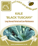 Nero Di Toscana (Black Tuscan Kale) Seeds