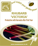Rhubarb Victoria Seeds