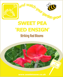 Red ensign sweet pea seeds