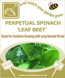 Perpetual Spinach 'Leaf Beet' - Seeds to Sow Limited