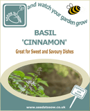 Basil Cinnamon seeds