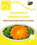 Calendula Orange King seeds