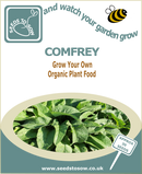 Comfrey Seeds