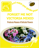 Forget Me Not Victoria Mixed