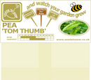 Pea Tom Thumb - Seeds to Sow Limited