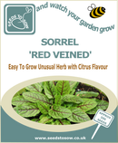 sorrel seeds