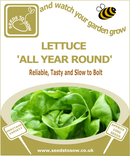 Lettuce All Year Round - Seeds to Sow Limited