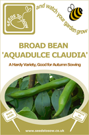 Broad Bean Aquadulce Claudia - Seeds to Sow Limited