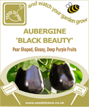 Aubergine Black Beauty - Seeds to Sow Limited