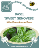 Basil Sweet Genovese - Seeds to Sow Limited