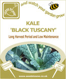 Kale Nero Di Toscana (Black Tuscan Kale) - Seeds to Sow Limited