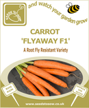 Carrot Flyaway F1 - Seeds to Sow Limited
