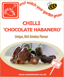 Chilli Chocolate Habanero - Seeds to Sow Limited