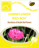 Cornflower - Red Boy - Seeds to Sow Limited