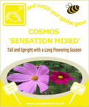 Cosmos - Sensation Mixed - Seeds to Sow Limited