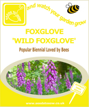 Foxglove - Wild Foxglove - Seeds to Sow Limited