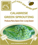 Calabrese Green Sprouting - Seeds to Sow Limited