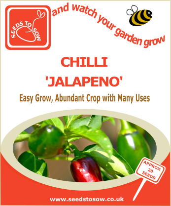 Chilli Jalapeno - Seeds to Sow