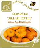 Pumpkin Jill Be Little - Seeds to Sow Limited