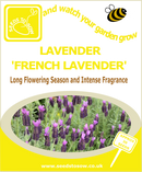 Lavender - French Lavender - Seeds to Sow Limited