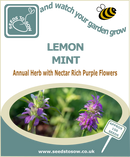 Lemon Mint - Seeds to Sow Limited