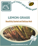 Lemongrass - Seeds to Sow Limited