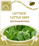 Lettuce Little Gem - Seeds to Sow Limited
