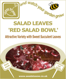 Salad Leaves Red Salad Bowl - Seeds to Sow Limited