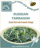 Russian Tarragon - Seeds to Sow Limited