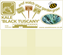 Kale Nero Di Toscana (Black Tuscan Kale) - Seeds to Sow Limited