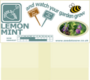 Lemon Mint - Seeds to Sow Limited