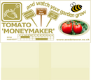 Tomato Moneymaker - Seeds to Sow Limited