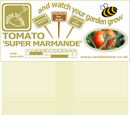 Tomato Super Marmande - Seeds to Sow Limited