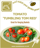 Tomato Tumbling Tom Red - Seeds to Sow Limited