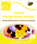 Pansy - Swiss Giant Mixed - Seeds to Sow Limited