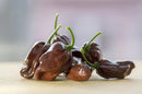 Chilli Chocolate Habanero - Seeds to Sow Limited