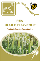 Pea Douce Provence Seeds