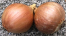 Onion sets