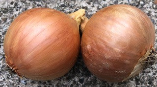 Onion sets