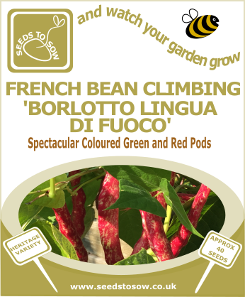 French Bean Climbing 'Borlotto Lingua di Fuoco'