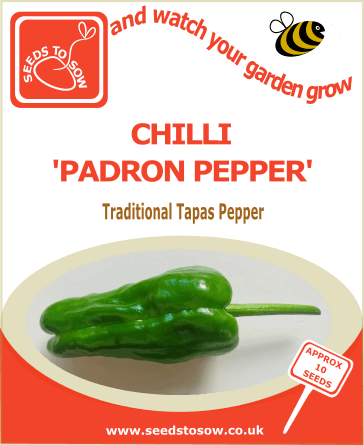 Chilli Padron Pepper - Seeds to Sow
