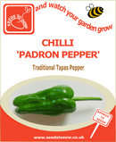 chilli padron traditional tapas pepper